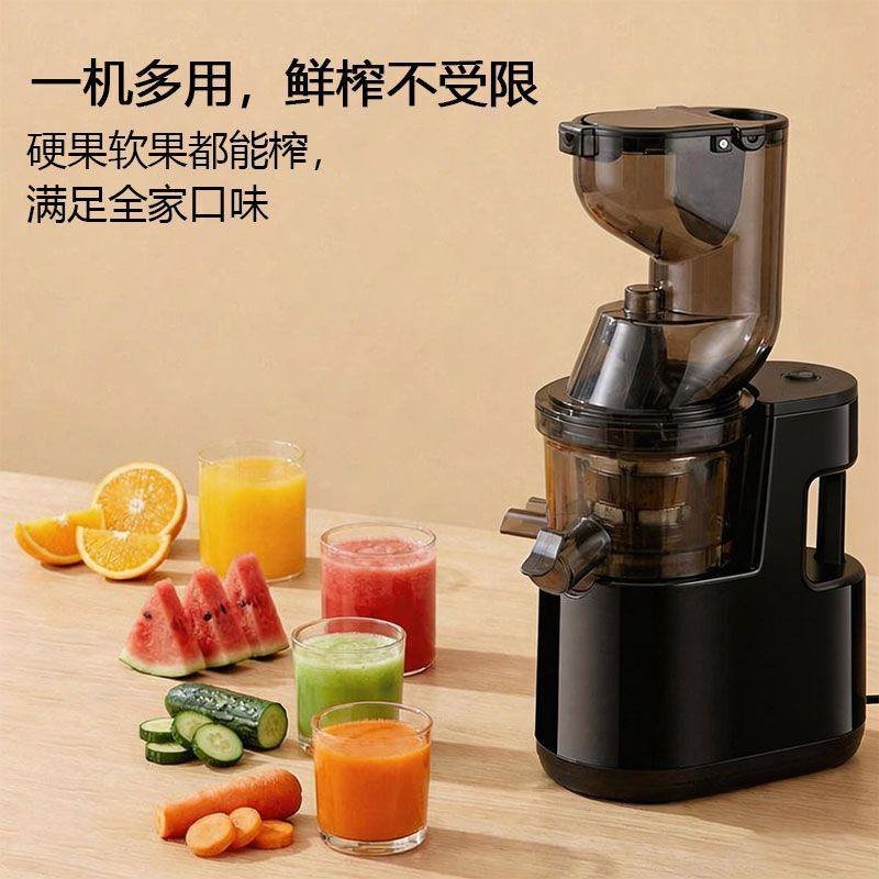 Whole Fruit Slow Juicer, Pulp Separation, view 3